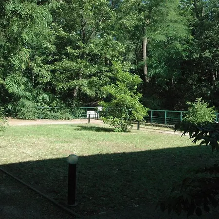 Im Zoopark Apartment