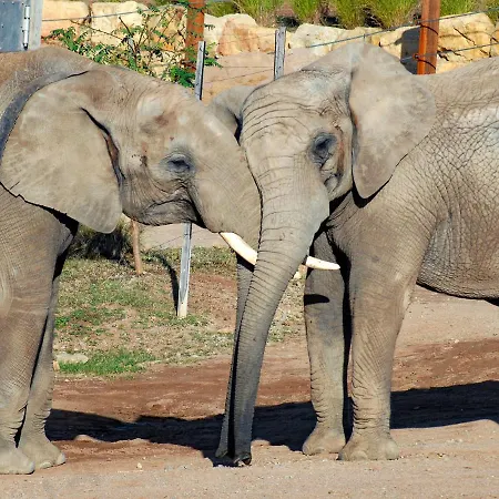 Im Zoopark Apartment Erfurt