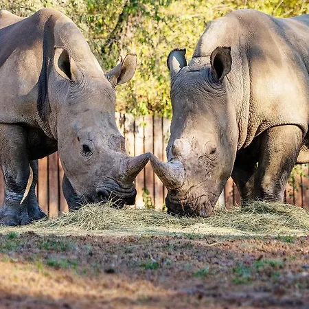 Apartment Im Zoopark *